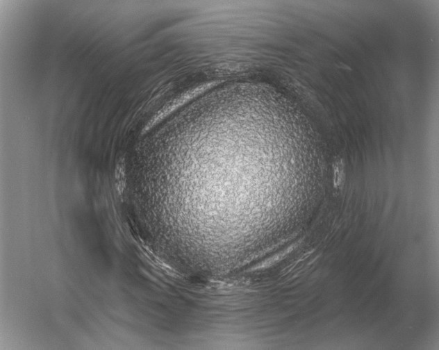 X0000056371011200509161848