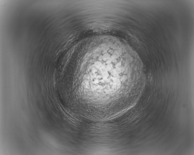 X0000056371012200509161849