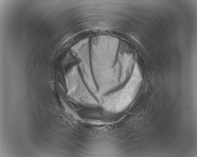 X0000056371015200509161849