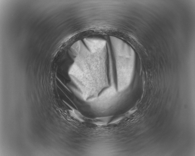 X0000056371016200509161849