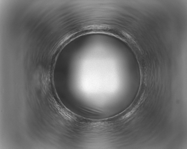 X0000056371017200509161849