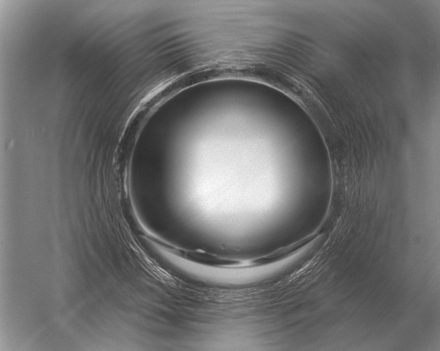 X0000056371018200509161849