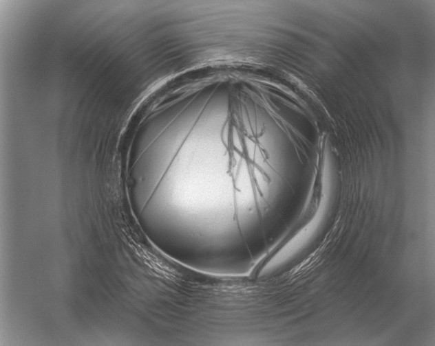 X0000056371021200509161849