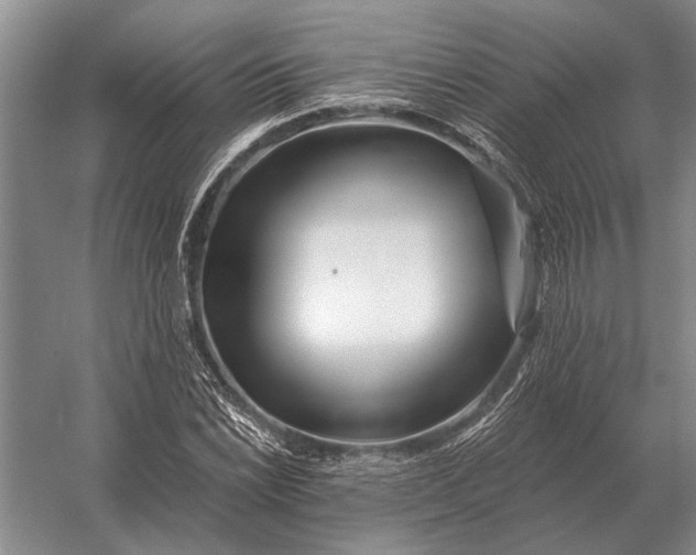 X0000056371022200509161849