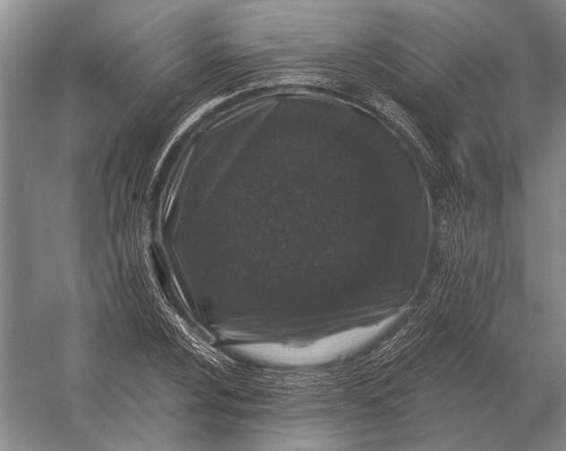 X0000056371024200509161849