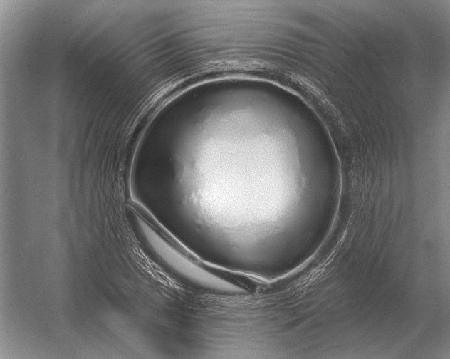 X0000056371025200509161849