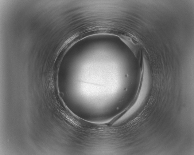 X0000056371026200509161849