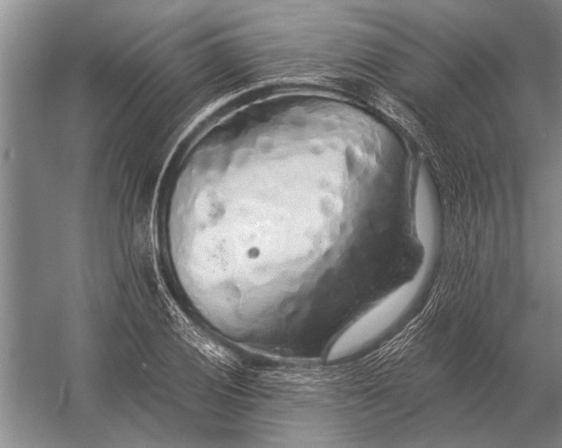 X0000056371028200509161849