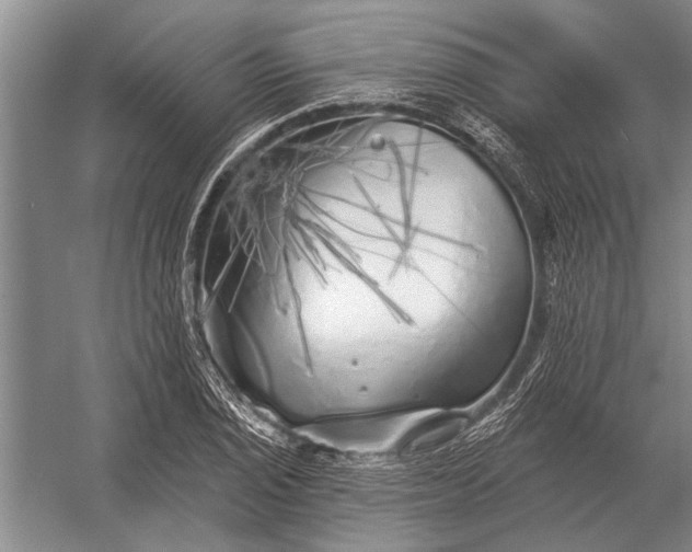 X0000056371029200509161849