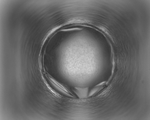 X0000056371030200509161849