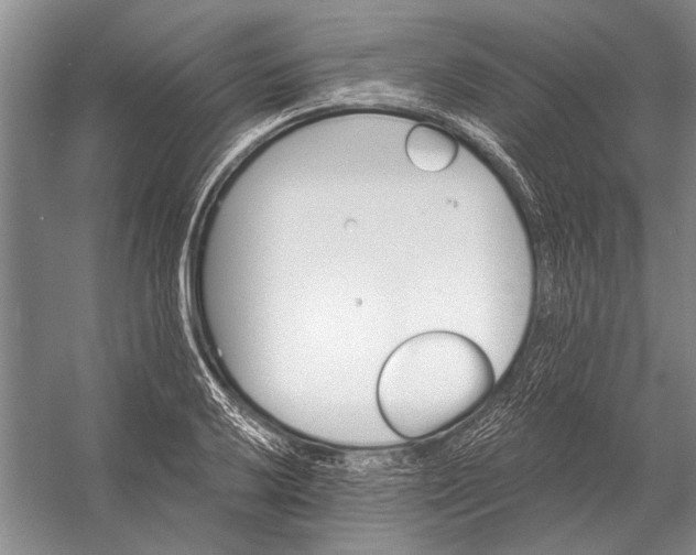 X0000056371032200509161849