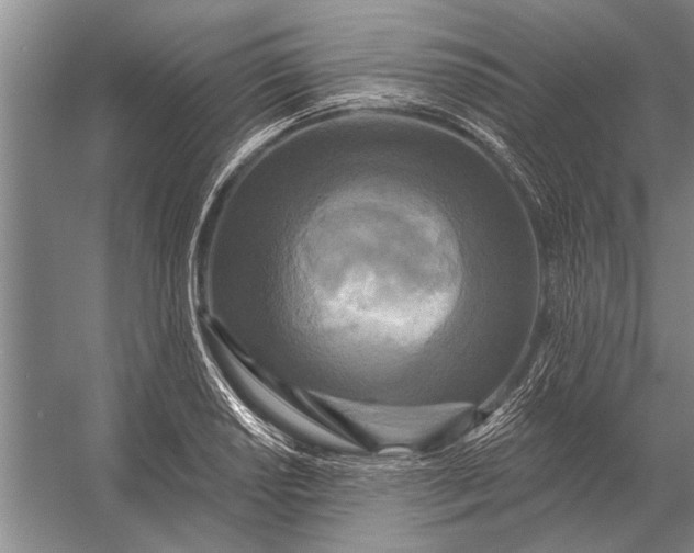 X0000056371034200509161849