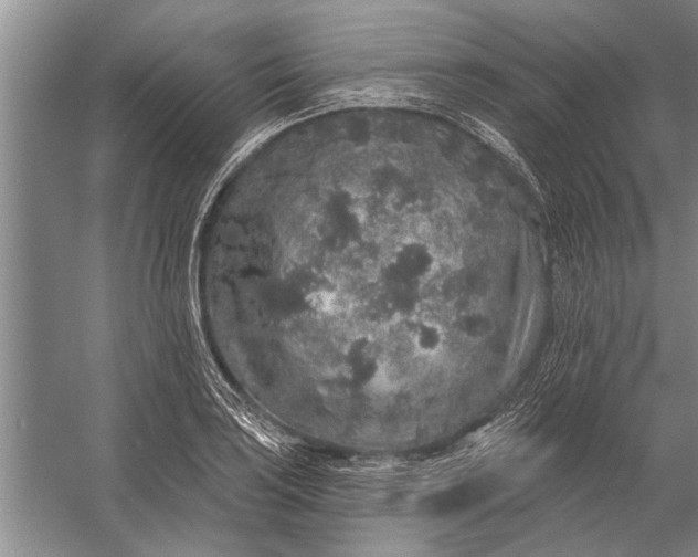 X0000056371035200509161849