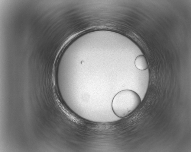 X0000056371036200509161849