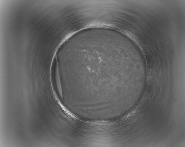 X0000056371037200509161849