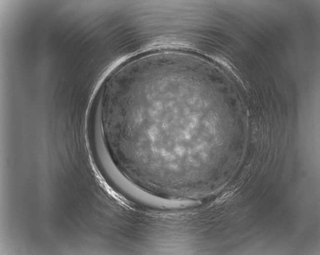 X0000056371038200509161849