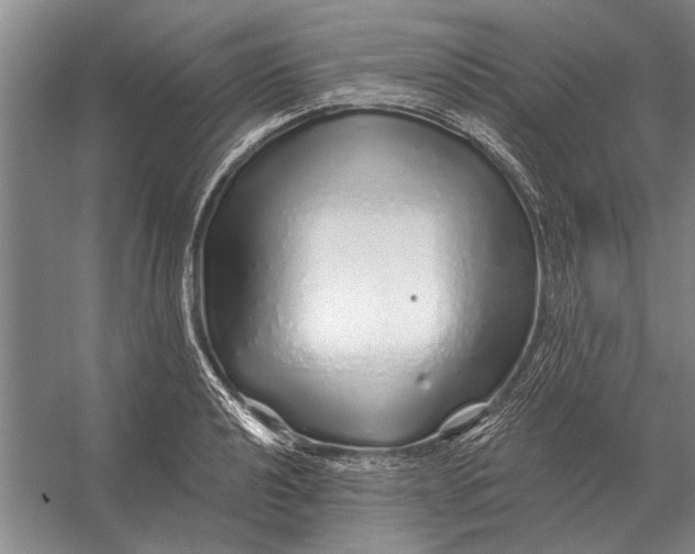 X0000056371040200509161849