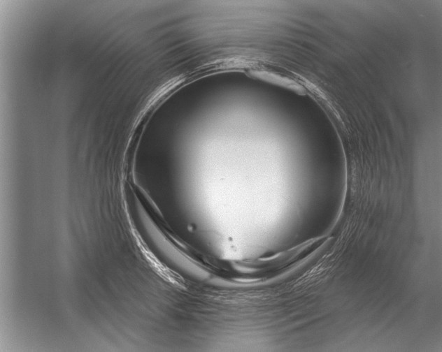 X0000056371042200509161849