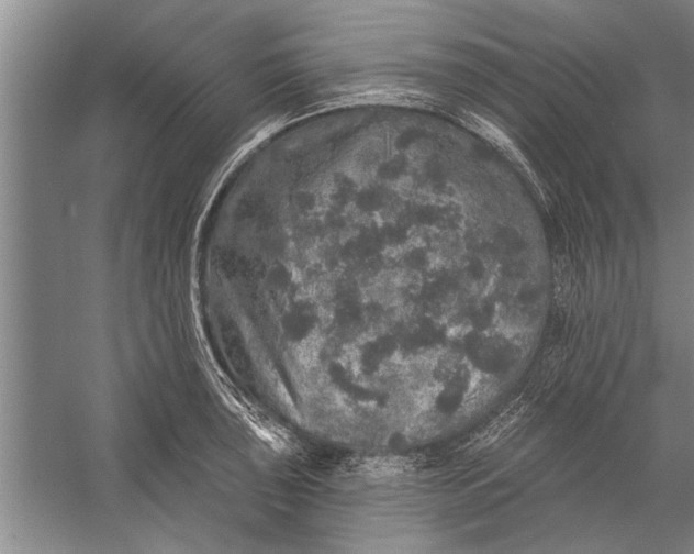 X0000056371043200509161849