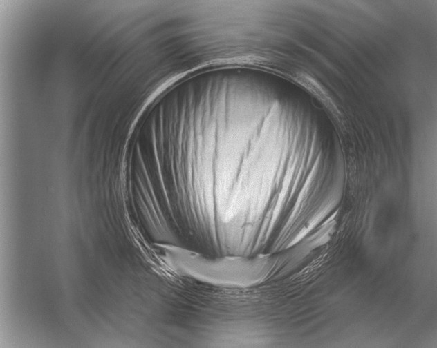 X0000056371044200509161849