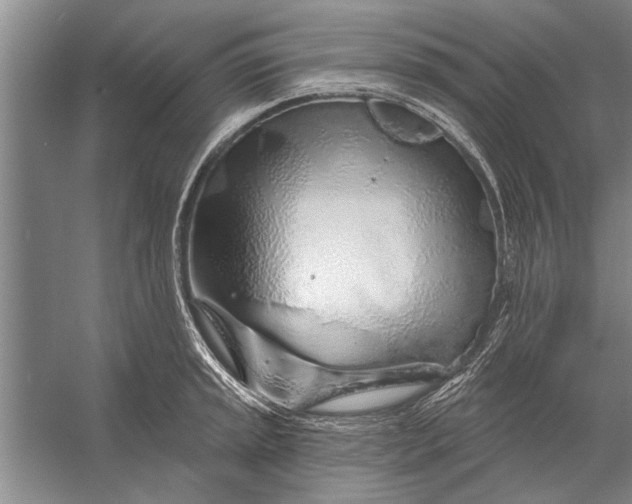 X0000056371045200509161849