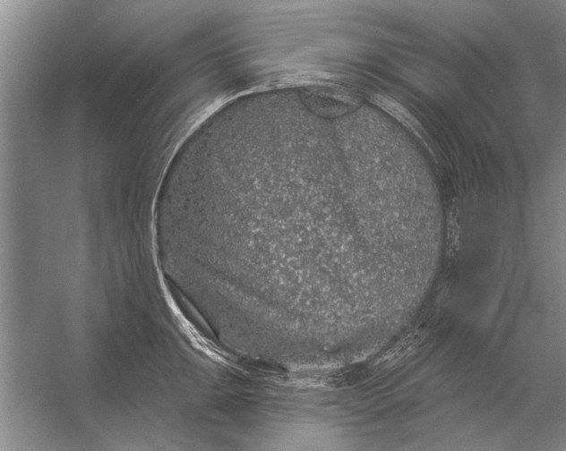 X0000056371047200509161849