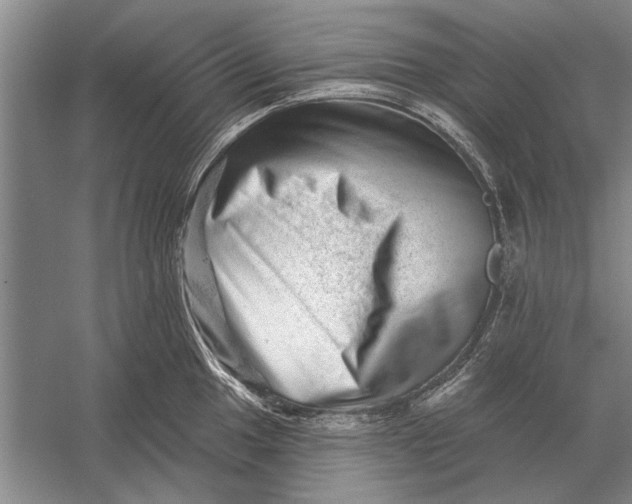 X0000056371049200509161849