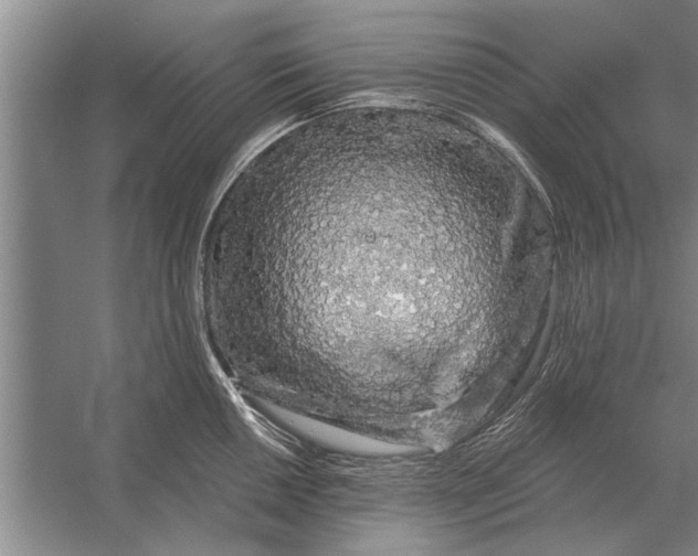 X0000056371050200509161849