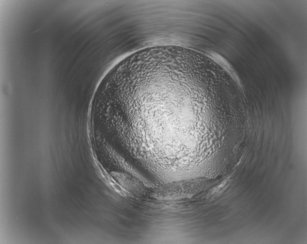 X0000056371052200509161849