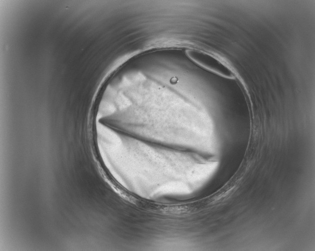 X0000056371053200509161849