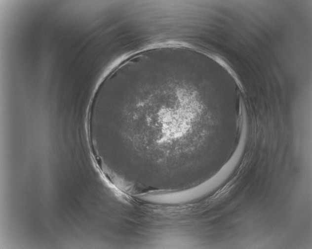 X0000056371054200509161849