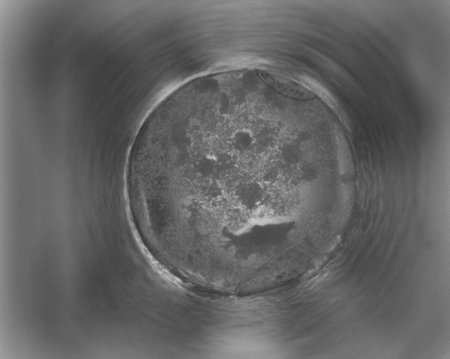 X0000056371055200509161849