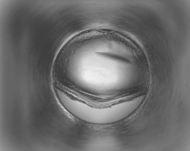 X0000056371056200509161849