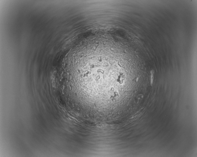 X0000056371059200509161848