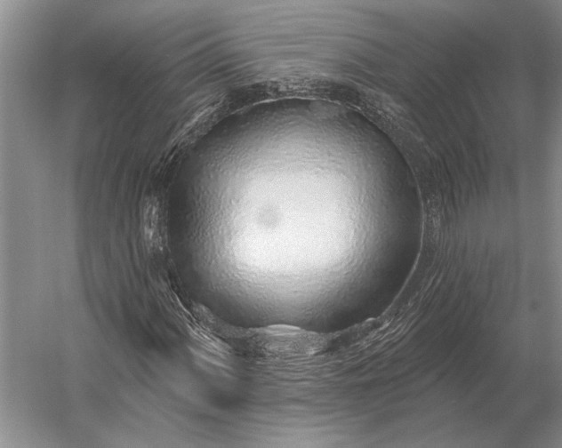 X0000056371060200509161848