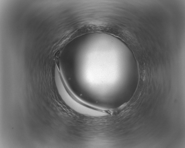 X0000056371061200509161848