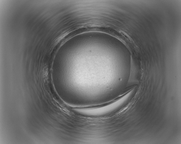 X0000056371065200509161848