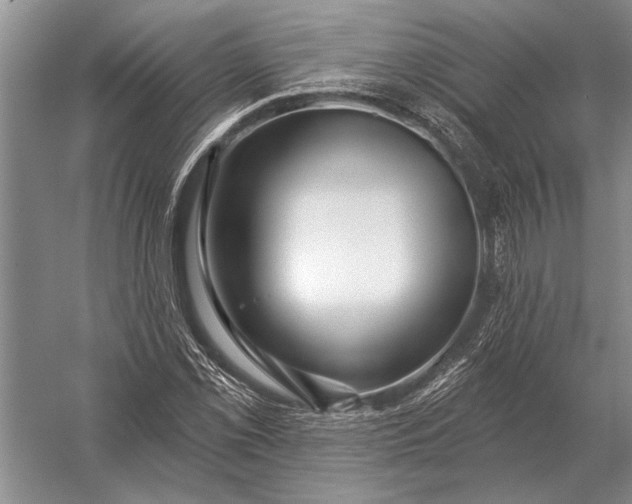 X0000056371069200509161848