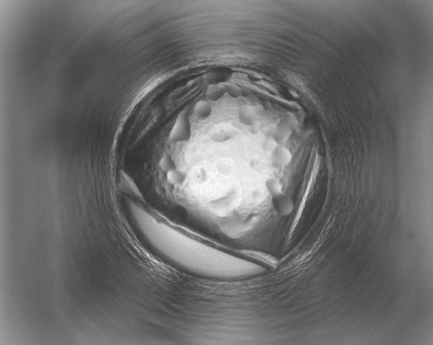 X0000056371071200509161848