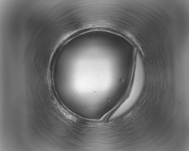 X0000056371072200509161848