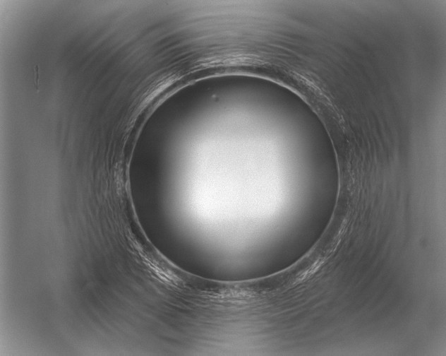 X0000056371073200509161848