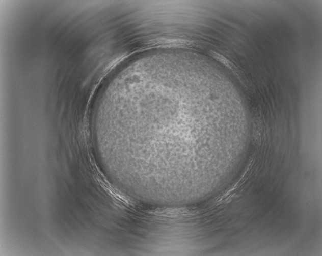 X0000056371074200509161848