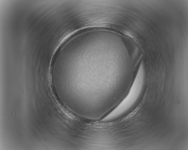 X0000056371077200509161848