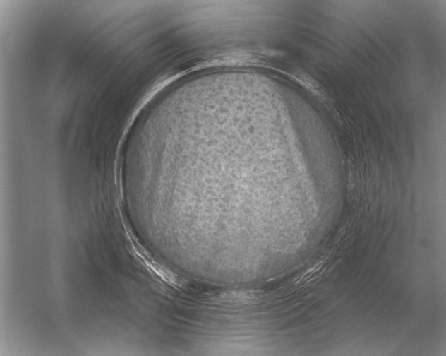 X0000056371078200509161848