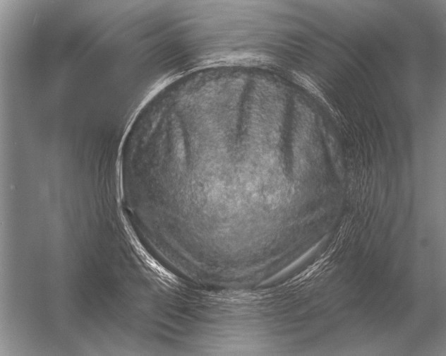 X0000056371079200509161848