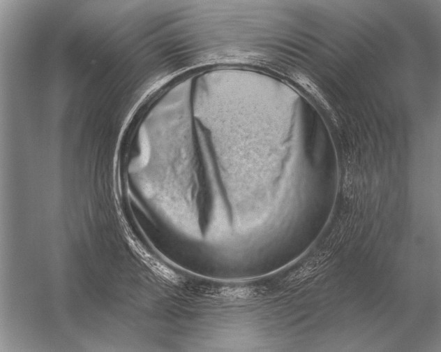 X0000056371080200509161848