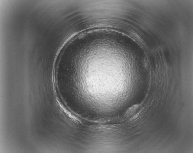 X0000056371084200509161848