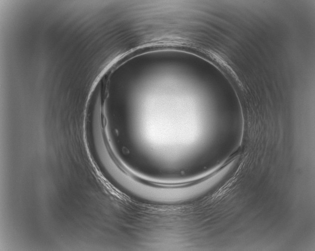 X0000056371085200509161848