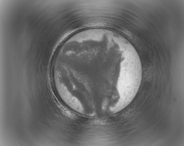 X0000056371086200509161848