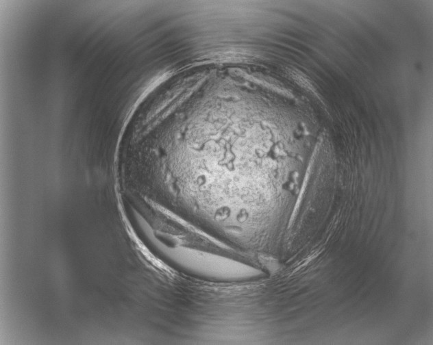 X0000056371087200509161848